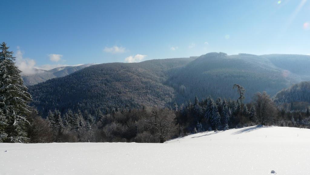 Reesbauernhof Lägenhet Oberried  Exteriör bild