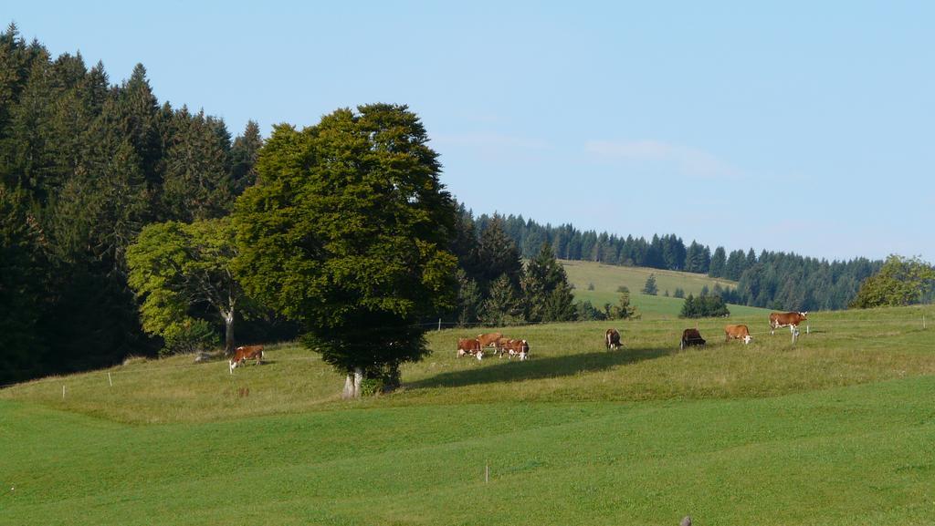 Reesbauernhof Lägenhet Oberried  Exteriör bild