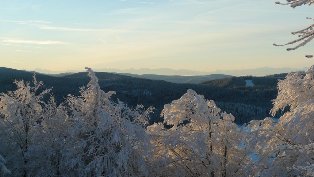 Reesbauernhof Lägenhet Oberried  Exteriör bild