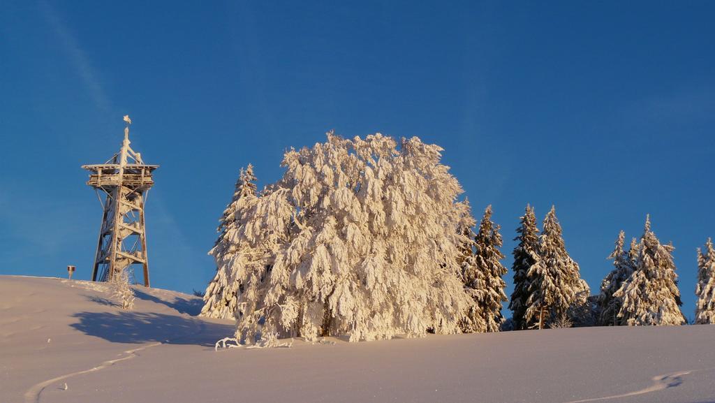 Reesbauernhof Lägenhet Oberried  Exteriör bild